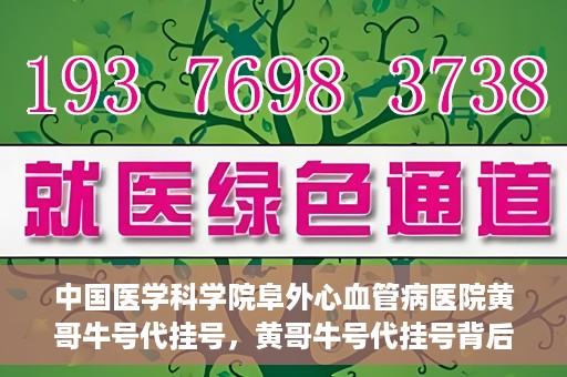 中国医学科学院阜外心血管病医院黄哥牛号代挂号，黄哥牛号代挂号背后的故事，阜外心血管病医院的探索与挑战