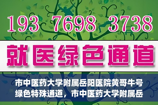 市中医药大学附属岳阳医院黄哥牛号绿色特殊通道，市中医药大学附属岳阳医院黄哥牛号，绿色特殊通道开启健康之门