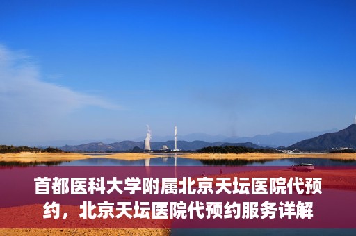 首都医科大学附属北京天坛医院代预约，北京天坛医院代预约服务详解