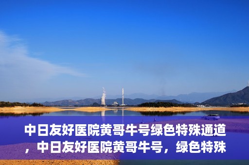 中日友好医院黄哥牛号绿色特殊通道，中日友好医院黄哥牛号，绿色特殊通道开启健康之门