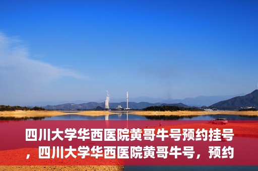 四川大学华西医院黄哥牛号预约挂号，四川大学华西医院黄哥牛号，预约挂号攻略与指南