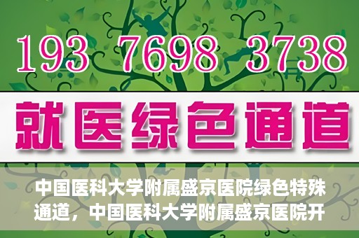 中国医科大学附属盛京医院绿色特殊通道，中国医科大学附属盛京医院开通绿色特殊通道，助力患者快速就医