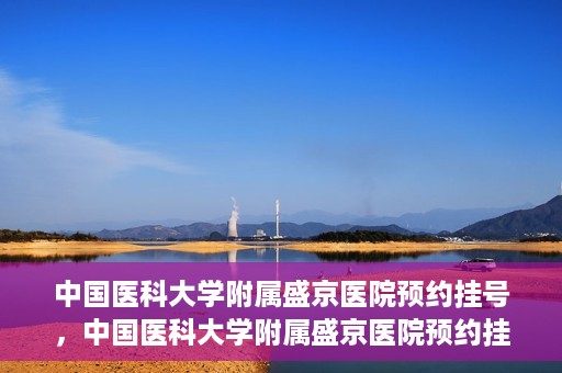中国医科大学附属盛京医院预约挂号，中国医科大学附属盛京医院预约挂号指南，一站式解决您的挂号难题