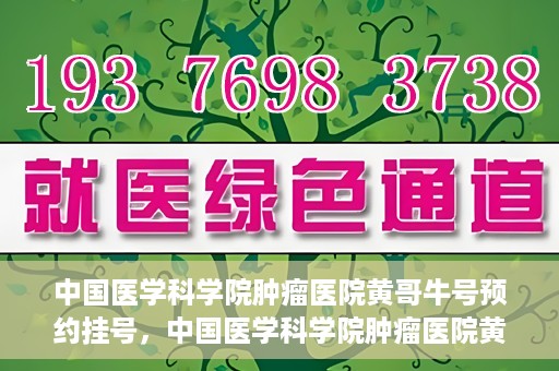 中国医学科学院肿瘤医院黄哥牛号预约挂号，中国医学科学院肿瘤医院黄哥牛号预约挂号攻略，一站式解决您的挂号难题