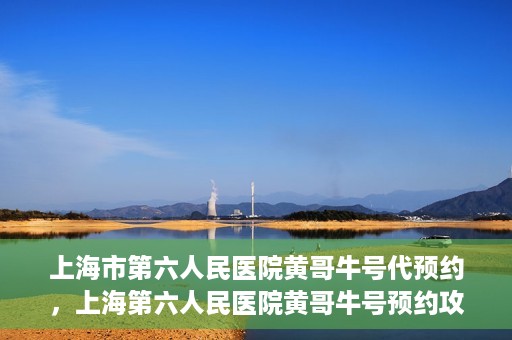 上海市第六人民医院黄哥牛号代预约，上海第六人民医院黄哥牛号预约攻略，轻松解决挂号难题