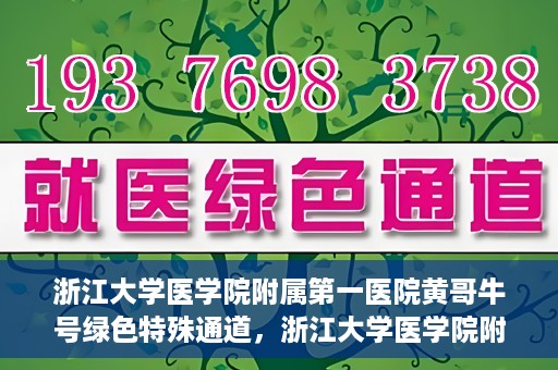 浙江大学医学院附属第一医院黄哥牛号绿色特殊通道，浙江大学医学院附属第一医院绿色特殊通道，黄哥牛号引领医疗创新之路