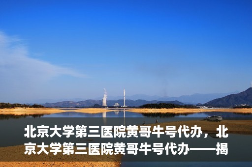 北京大学第三医院黄哥牛号代办，北京大学第三医院黄哥牛号代办——揭秘医疗预约背后的故事