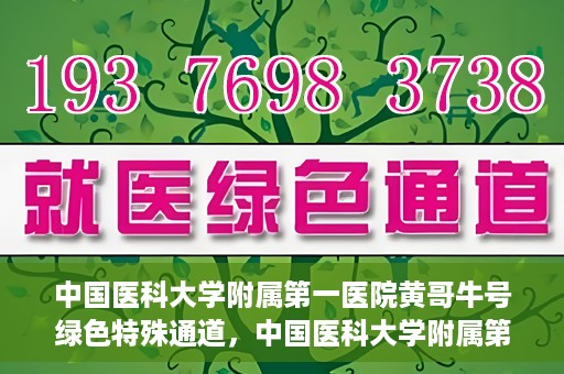 中国医科大学附属第一医院黄哥牛号绿色特殊通道，中国医科大学附属第一医院黄哥牛号，绿色特殊通道的开启与探索