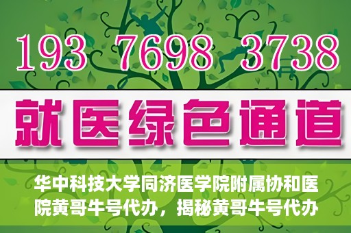 华中科技大学同济医学院附属协和医院黄哥牛号代办，揭秘黄哥牛号代办背后的故事，华中科技大学同济医学院附属协和医院就医新途径探索