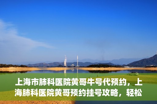 上海市肺科医院黄哥牛号代预约，上海肺科医院黄哥预约挂号攻略，轻松预约牛号