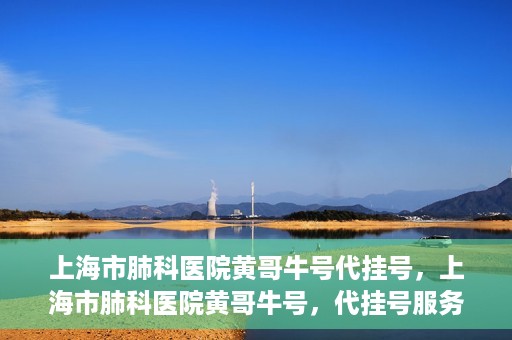 上海市肺科医院黄哥牛号代挂号，上海市肺科医院黄哥牛号，代挂号服务详解