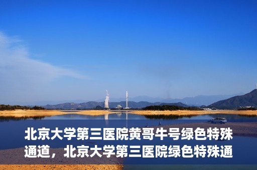 北京大学第三医院黄哥牛号绿色特殊通道，北京大学第三医院绿色特殊通道，黄哥牛号的探索与实践