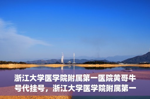 浙江大学医学院附属第一医院黄哥牛号代挂号，浙江大学医学院附属第一医院黄哥牛号代挂号服务解析