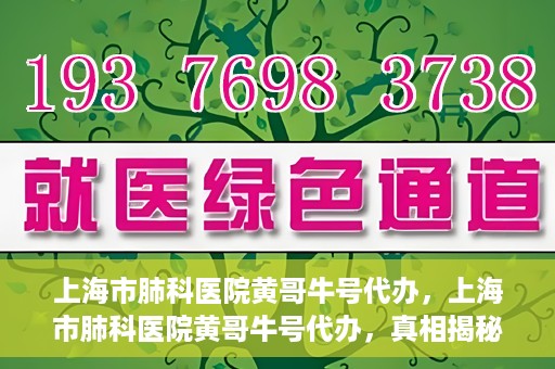 上海市肺科医院黄哥牛号代办，上海市肺科医院黄哥牛号代办，真相揭秘与深度解读