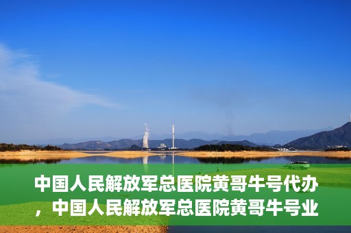 中国人民解放军总医院黄哥牛号代办，中国人民解放军总医院黄哥牛号业务代办揭秘