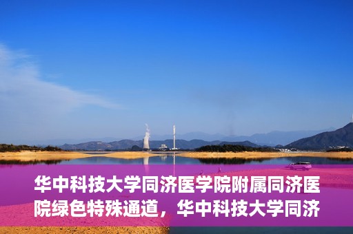 华中科技大学同济医学院附属同济医院绿色特殊通道，华中科技大学同济医院特殊绿色通道的奥秘与力量