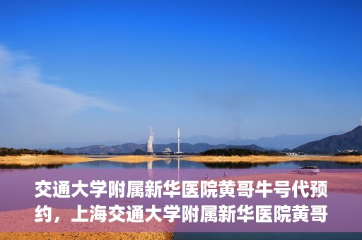 交通大学附属新华医院黄哥牛号代预约，上海交通大学附属新华医院黄哥牛号预约服务解析