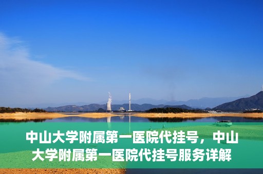 中山大学附属第一医院代挂号，中山大学附属第一医院代挂号服务详解