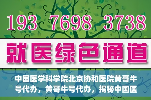 中国医学科学院北京协和医院黄哥牛号代办，黄哥牛号代办，揭秘中国医学科学院北京协和医院背后的故事