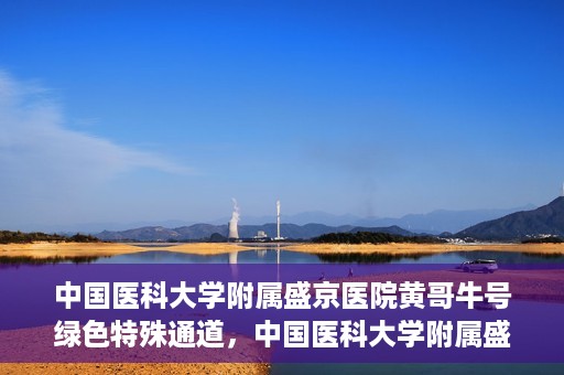 中国医科大学附属盛京医院黄哥牛号绿色特殊通道，中国医科大学附属盛京医院黄哥牛号，绿色特殊通道开启健康之门