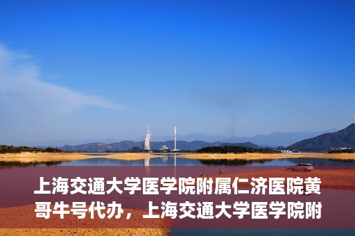 上海交通大学医学院附属仁济医院黄哥牛号代办，上海交通大学医学院附属仁济医院黄哥牛号代办服务详解