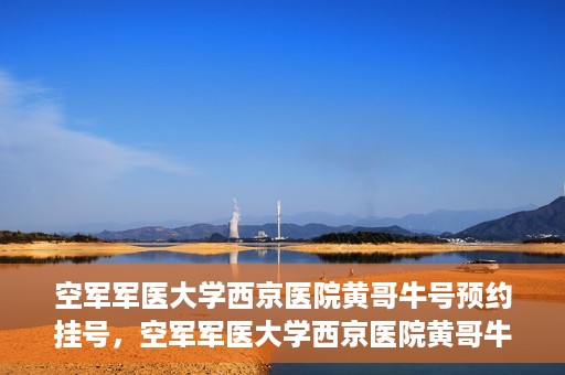空军军医大学西京医院黄哥牛号预约挂号，空军军医大学西京医院黄哥牛医生预约挂号攻略
