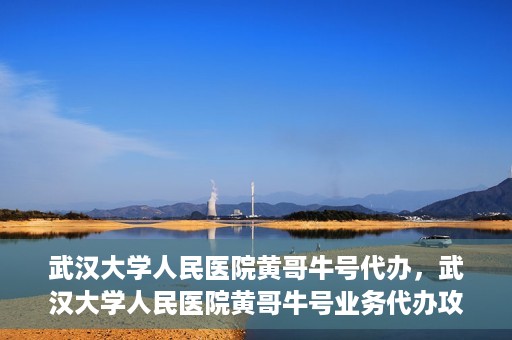 武汉大学人民医院黄哥牛号代办，武汉大学人民医院黄哥牛号业务代办攻略