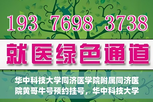 华中科技大学同济医学院附属同济医院黄哥牛号预约挂号，华中科技大学同济医院黄哥牛号预约挂号攻略