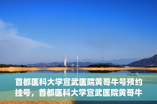 首都医科大学宣武医院黄哥牛号预约挂号，首都医科大学宣武医院黄哥牛号，预约挂号攻略