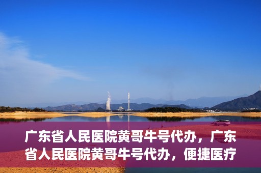 广东省人民医院黄哥牛号代办，广东省人民医院黄哥牛号代办，便捷医疗新途径