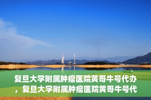 复旦大学附属肿瘤医院黄哥牛号代办，复旦大学附属肿瘤医院黄哥牛号代办，真相揭秘与深度解析