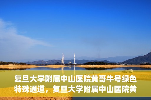 复旦大学附属中山医院黄哥牛号绿色特殊通道，复旦大学附属中山医院黄哥牛号，绿色特殊通道开启健康之门