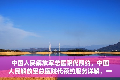 中国人民解放军总医院代预约，中国人民解放军总医院代预约服务详解，一站式预约解决方案助力就医无忧