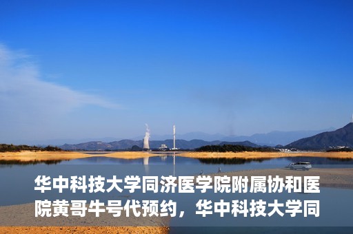 华中科技大学同济医学院附属协和医院黄哥牛号代预约，华中科技大学同济医学院附属协和医院预约服务揭秘，黄哥牛号代预约解析