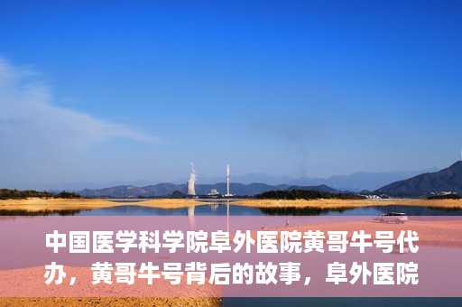 中国医学科学院阜外医院黄哥牛号代办，黄哥牛号背后的故事，阜外医院名医揭秘与医疗服务的深度解读