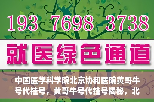 中国医学科学院北京协和医院黄哥牛号代挂号，黄哥牛号代挂号揭秘，北京协和医院挂号背后的故事