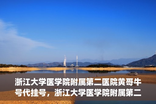 浙江大学医学院附属第二医院黄哥牛号代挂号，浙江大学医学院附属第二医院黄哥牛号挂号服务解析