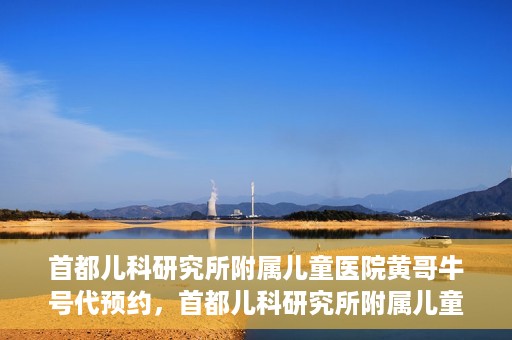 首都儿科研究所附属儿童医院黄哥牛号代预约，首都儿科研究所附属儿童医院黄哥预约服务详解