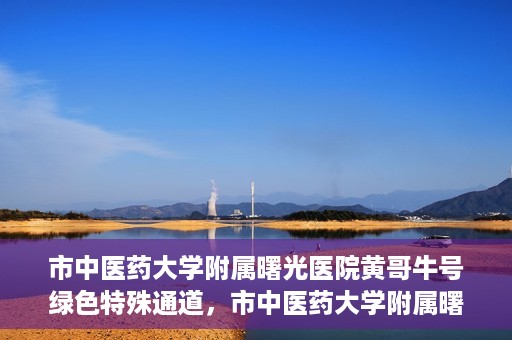 市中医药大学附属曙光医院黄哥牛号绿色特殊通道，市中医药大学附属曙光医院黄哥牛号，绿色特殊通道开启健康之门