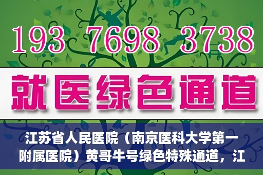 江苏省人民医院（南京医科大学第一附属医院）黄哥牛号绿色特殊通道，江苏省人民医院绿色特殊通道，黄哥牛号的医疗速度与温情服务