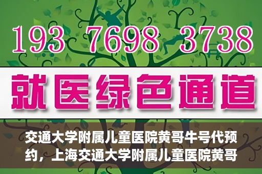 交通大学附属儿童医院黄哥牛号代预约，上海交通大学附属儿童医院黄哥牛号预约指南，轻松预约，关爱儿童健康之路