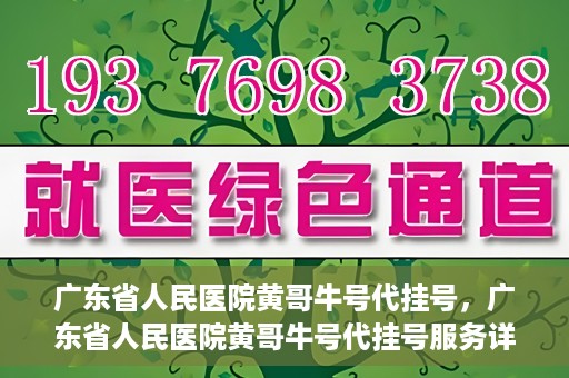 广东省人民医院黄哥牛号代挂号，广东省人民医院黄哥牛号代挂号服务详解