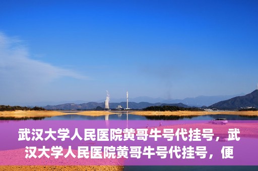 武汉大学人民医院黄哥牛号代挂号，武汉大学人民医院黄哥牛号代挂号，便捷就医背后的故事