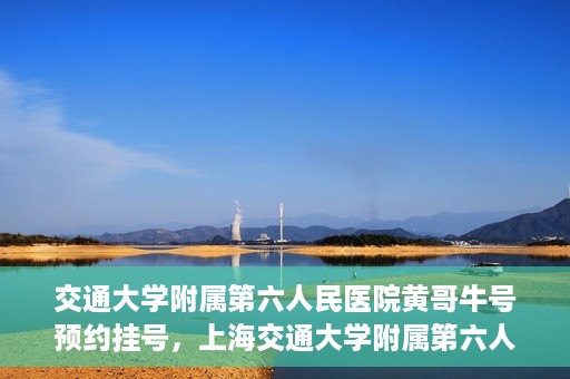交通大学附属第六人民医院黄哥牛号预约挂号，上海交通大学附属第六人民医院黄哥牛号预约挂号攻略