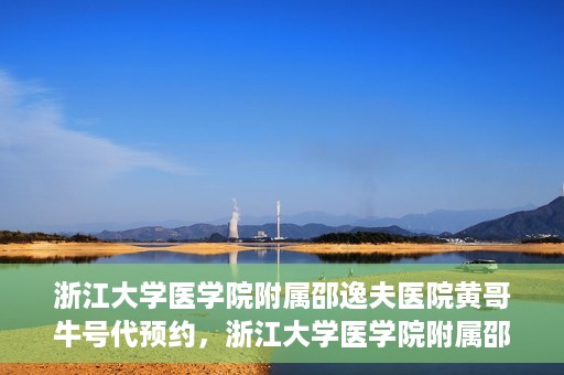 浙江大学医学院附属邵逸夫医院黄哥牛号代预约，浙江大学医学院附属邵逸夫医院黄哥牛号预约服务解析