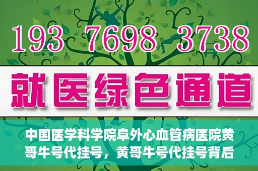 中国医学科学院阜外心血管病医院黄哥牛号代挂号，黄哥牛号代挂号背后的故事，阜外心血管病医院的探索与挑战