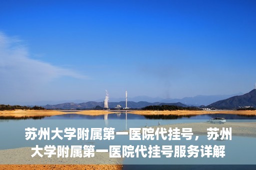 苏州大学附属第一医院代挂号，苏州大学附属第一医院代挂号服务详解