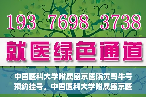 中国医科大学附属盛京医院黄哥牛号预约挂号，中国医科大学附属盛京医院黄哥牛号，预约挂号指南