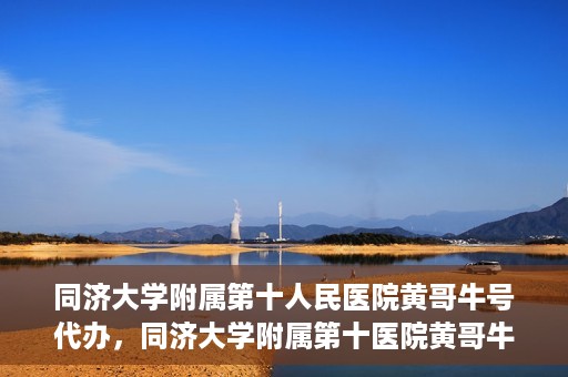 同济大学附属第十人民医院黄哥牛号代办，同济大学附属第十医院黄哥牛号预约代办服务解析
