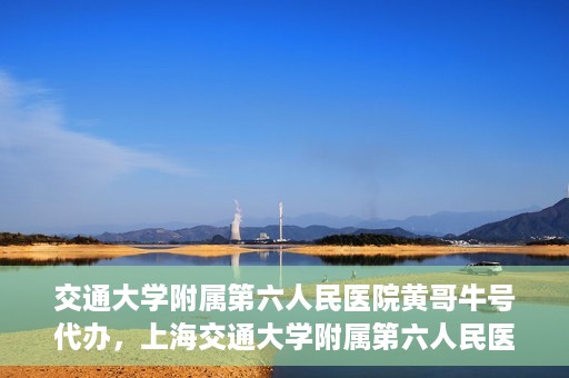 交通大学附属第六人民医院黄哥牛号代办，上海交通大学附属第六人民医院黄哥牛号代办服务解析